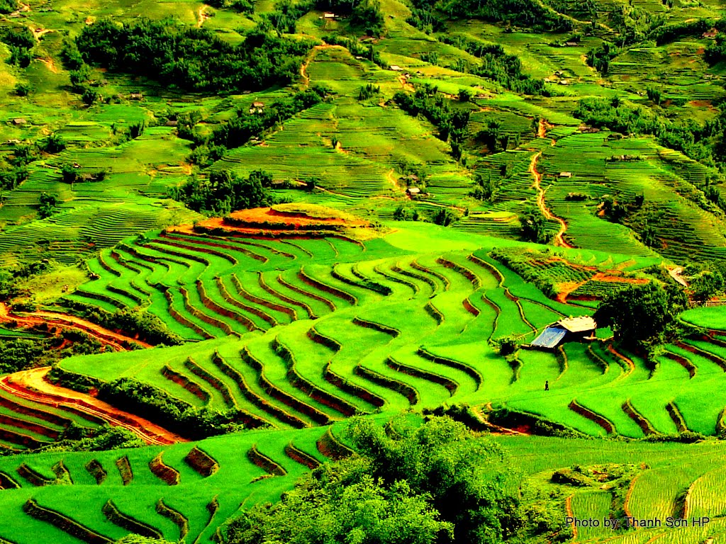 tour-mien-bac-du-lich-sapa